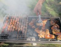 Израильтян кормят заражённой курятиной?