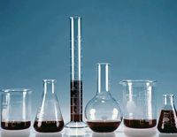 В Израиле зарегистрирован первый случай заболевания вирусом Зика